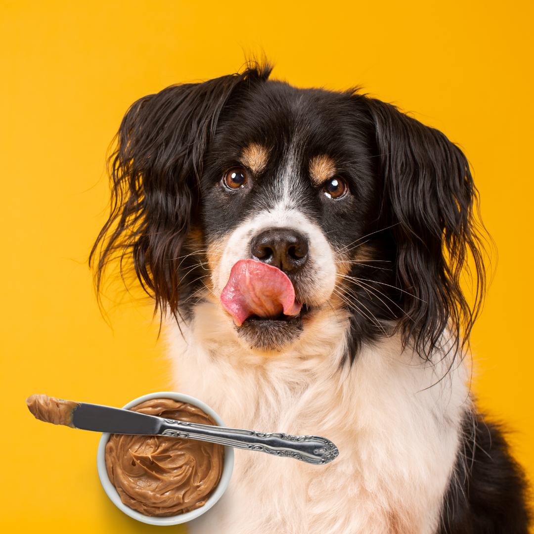 MuttButter Doggy Friendly Peanut Butter