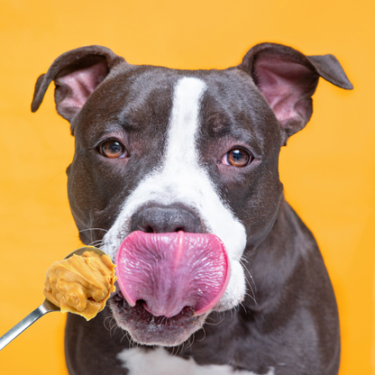 MuttButter Doggy Friendly Peanut Butter