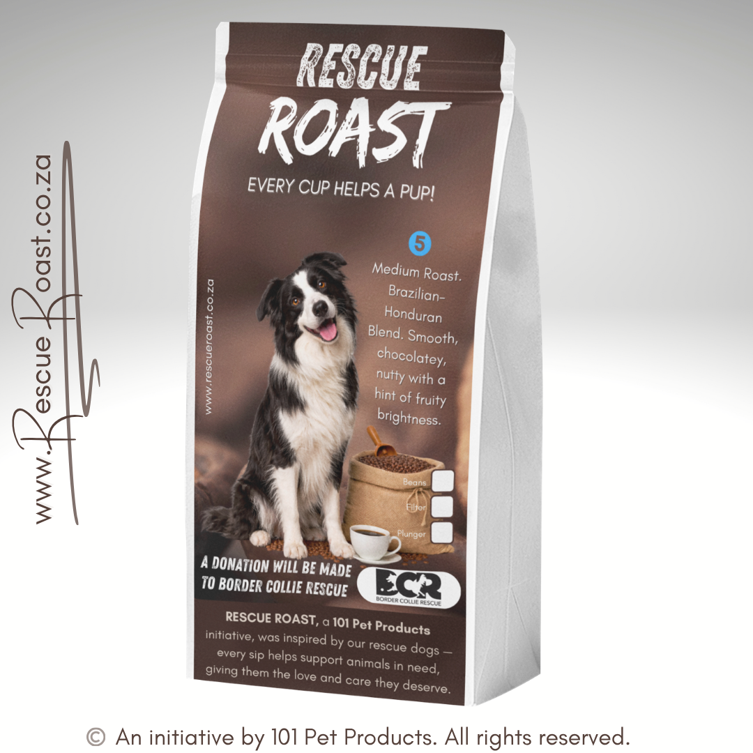 Everyday Hero (Border Collie Rescue) #4