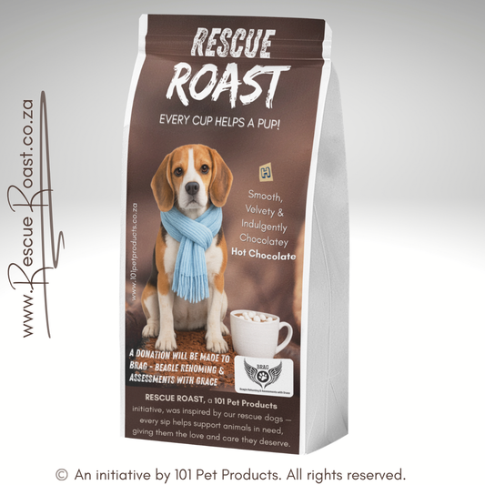 Hot Chocolate - BRAG - Beagle Rehoming and Assessments with Grace