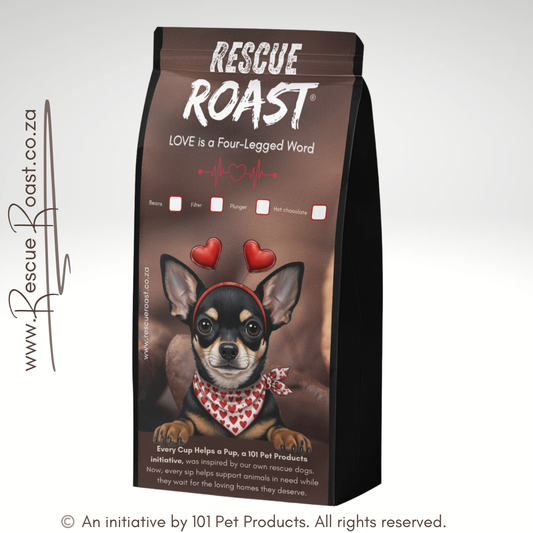 Chihuahua - Valentines Edition 1