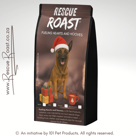 Christmas Edition Belgian Malinois B (Stilfontein/Matlosana Animal Shelter)