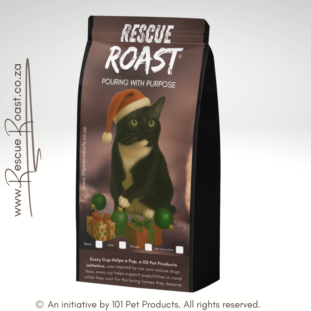 Cat 2 - Christmas Edition (B)