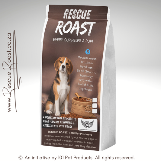 Everyday Hero (BRAG - Beagle Rehoming and Assessments with Grace) #4