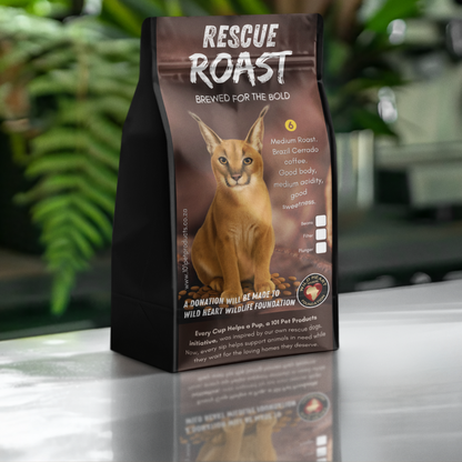 Caracal Whisper (Wild Heart Wildlife Foundation) #2