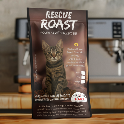 Shelter’s Secret (Helderberg Animal Rescue Team / HART) #2