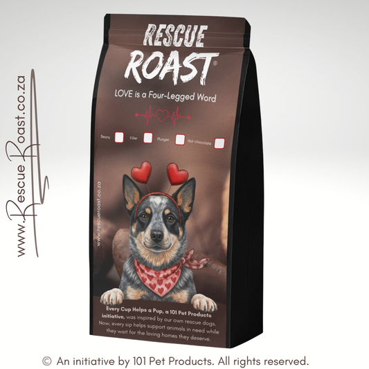 Australian Cattle Dog - Valentines Edition 1