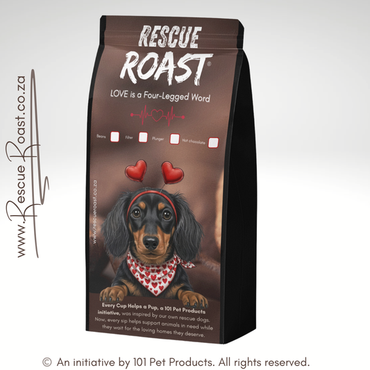 Dachshund - Valentines Edition 1