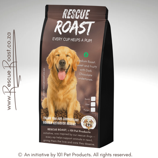 Sunshine in a Cup (Golden Retriever Rescue SA) #1