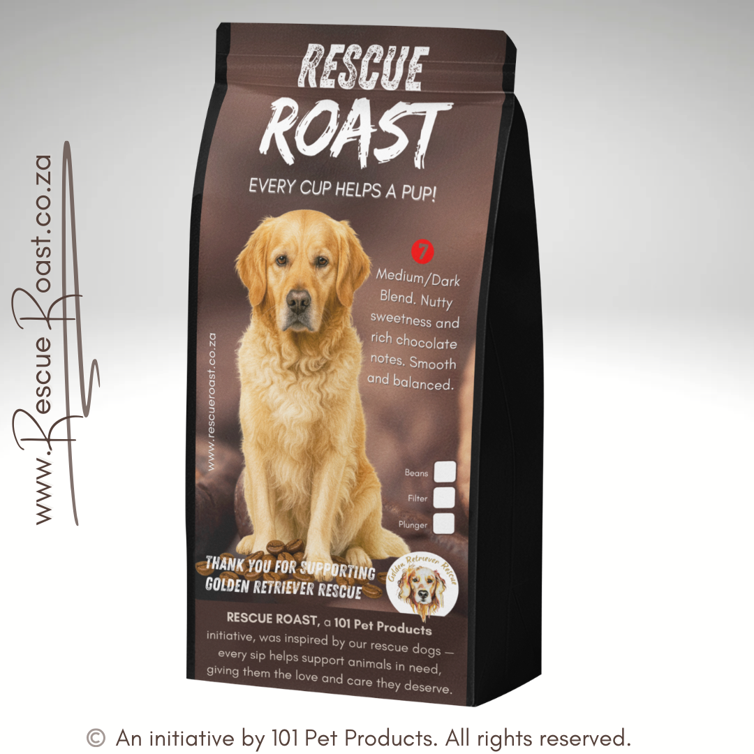 Golden Heart Bold (Golden Retriever Rescue SA) #3