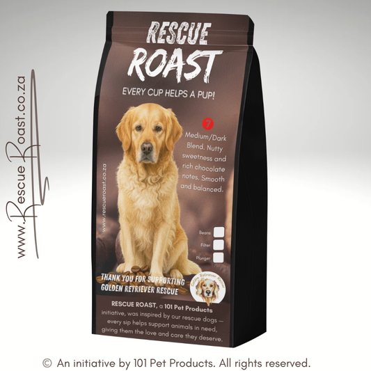Golden Heart Bold (Golden Retriever Rescue SA) #3