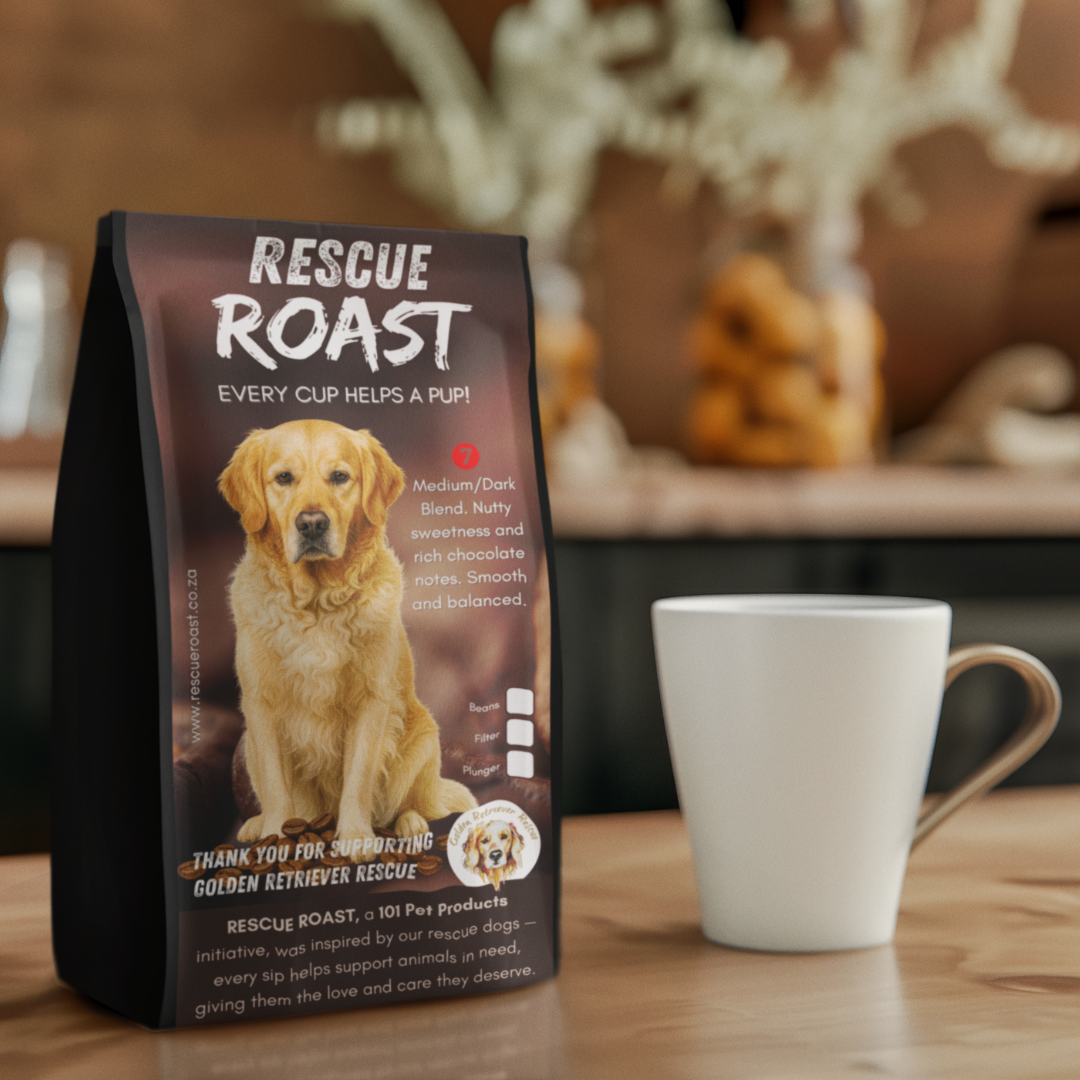 Golden Heart Bold (Golden Retriever Rescue SA) #3