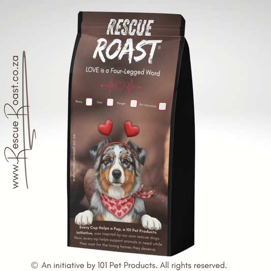 Australian Shepherd - Valentines Edition 1