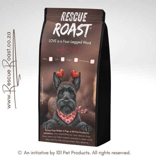 Schnauzer - Valentines Edition 1