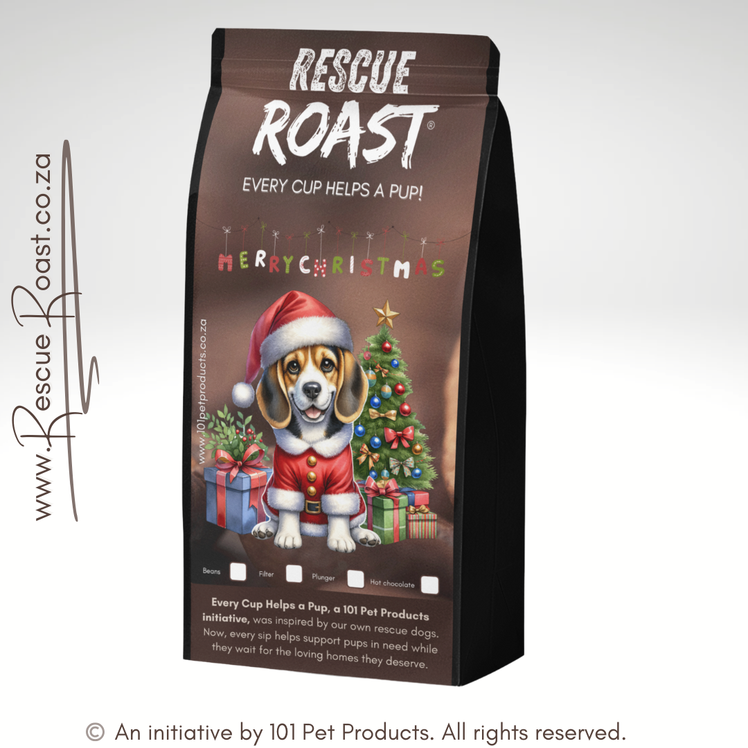 Beagle - Christmas Edition (A)