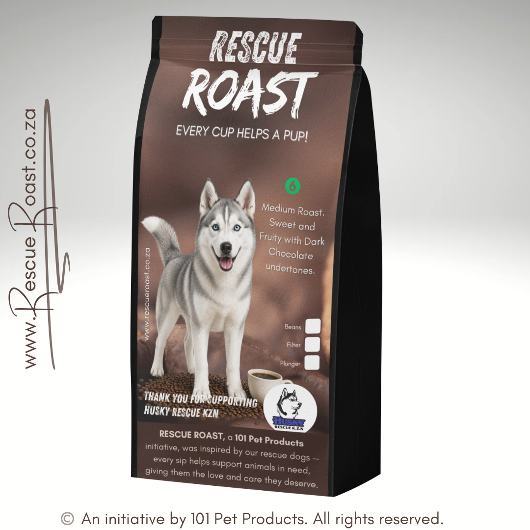 Northern Lights (Husky Rescue KZN) #1