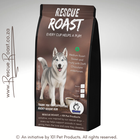 Northern Lights (Husky Rescue KZN) #1