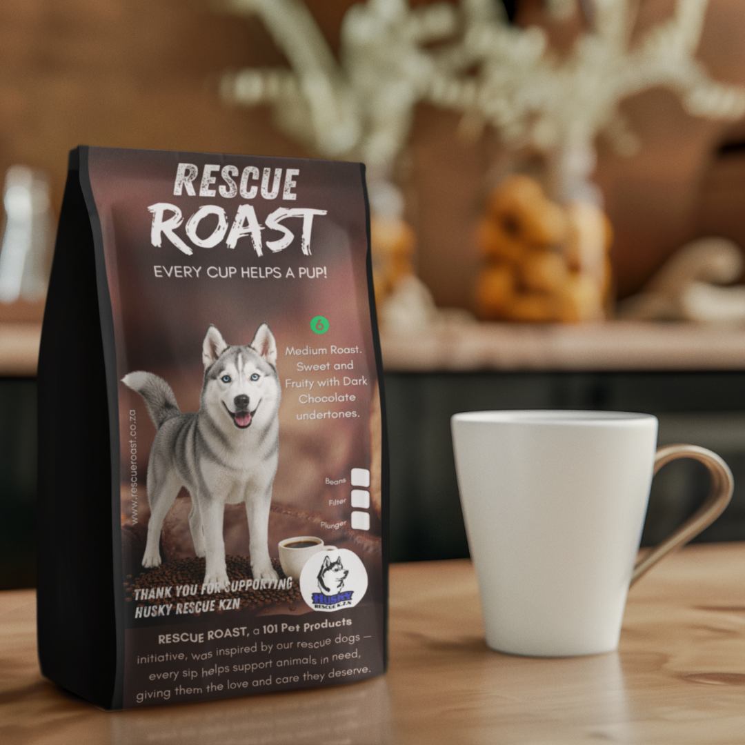Northern Lights (Husky Rescue KZN) #1