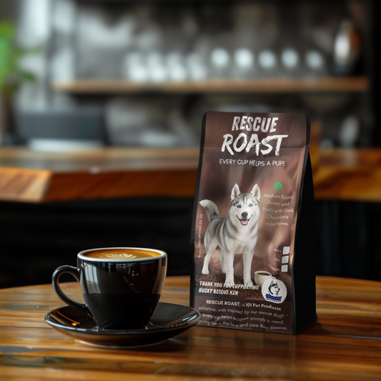 Northern Lights (Husky Rescue KZN) #1