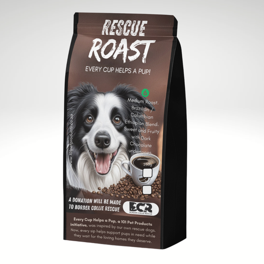 Fast Fetch Roast (Border Collie Rescue) #1