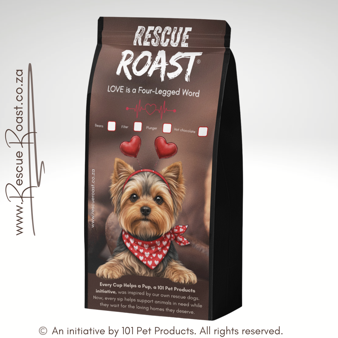 Yorkie - LOVE Edition 1