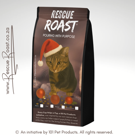 Cat 1 - Christmas Edition (B)