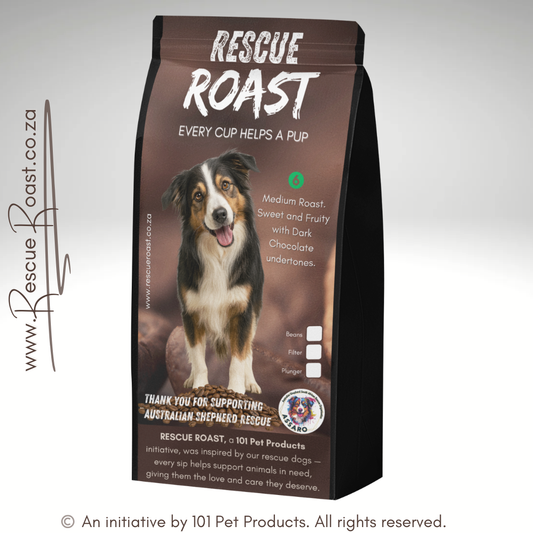 Blue Merle Morning (Australian Shepherd SA Rescue Org) #1