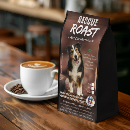 Blue Merle Morning (Australian Shepherd SA Rescue Org) #1