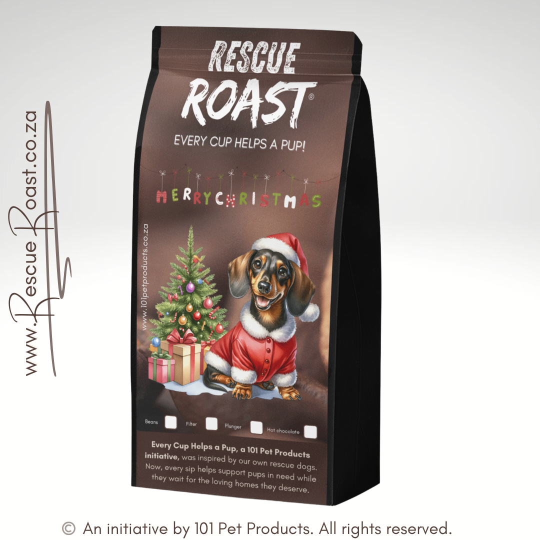 Dachshund - Christmas Edition (A)