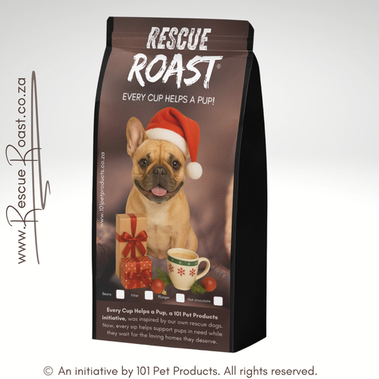 Frenchie - Christmas Edition (B)