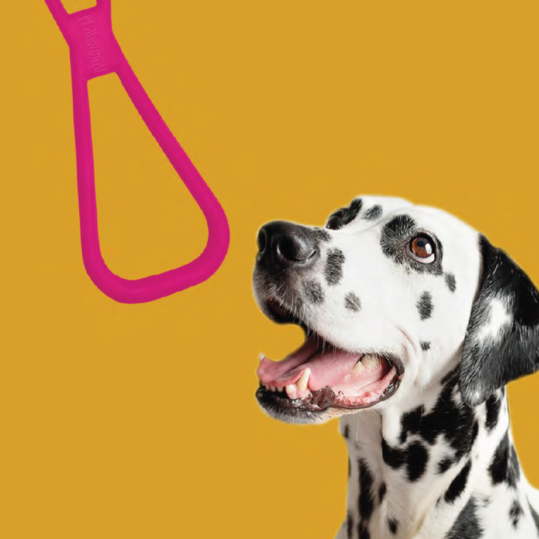 PlayBuddy Rubber Tug & Toss – for dogs that love to pull, chew, and play together (S/M/L)