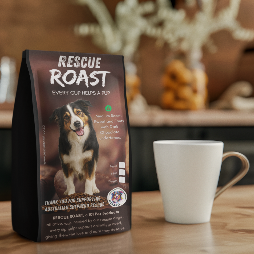 Blue Merle Morning (Australian Shepherd SA Rescue Org) #1