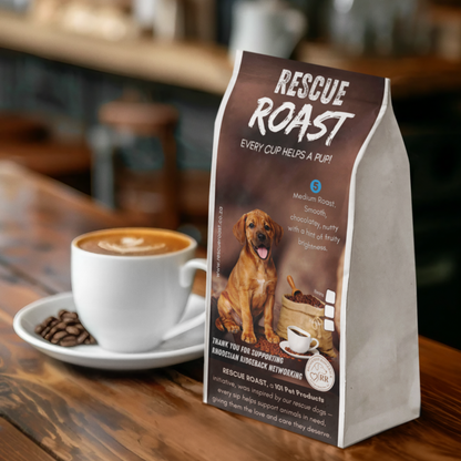 Everyday Hero (Rhodesian Ridgeback Networking SA) #4