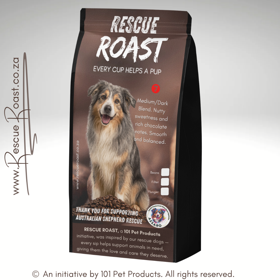 Outback Bold (Australian Shepherd SA Rescue Org) #3