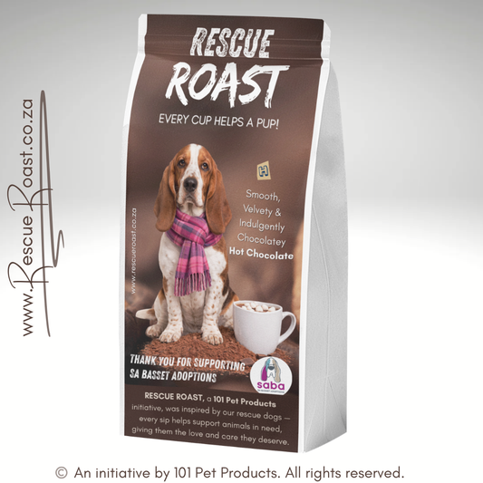 Hot Chocolate - SA Basset Adoptions