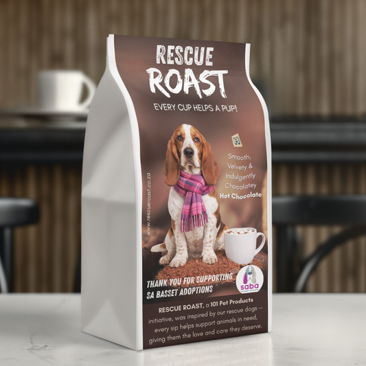 Hot Chocolate - SA Basset Adoptions