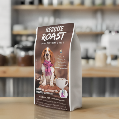 Hot Chocolate - SA Basset Adoptions