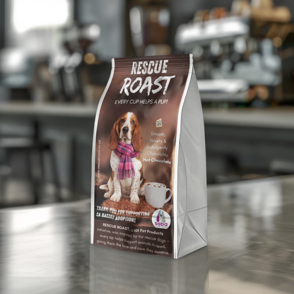 Hot Chocolate - SA Basset Adoptions