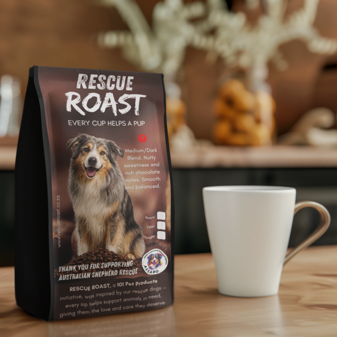 Outback Bold (Australian Shepherd SA Rescue Org) #3