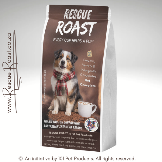 Hot Chocolate - Australian Shepherd SA Rescue Org