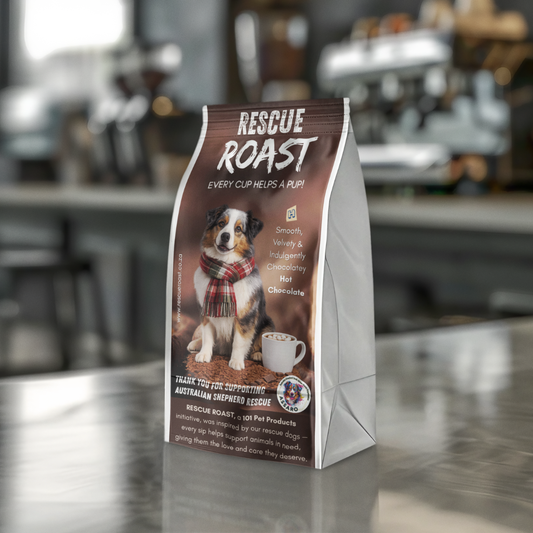 Hot Chocolate - Australian Shepherd SA Rescue Org