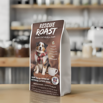 Hot Chocolate - Australian Shepherd SA Rescue Org