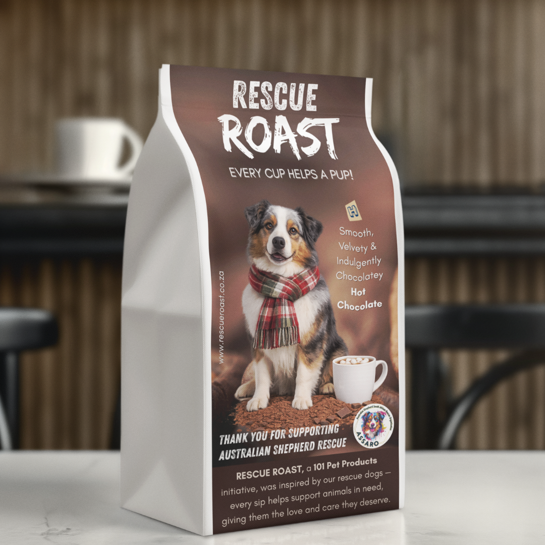 Hot Chocolate - Australian Shepherd SA Rescue Org