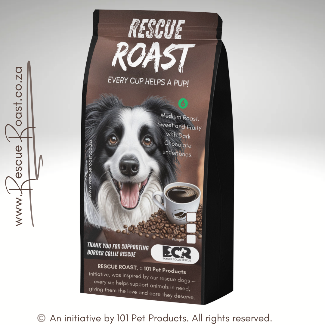 Fast Fetch Roast (Border Collie Rescue) #1