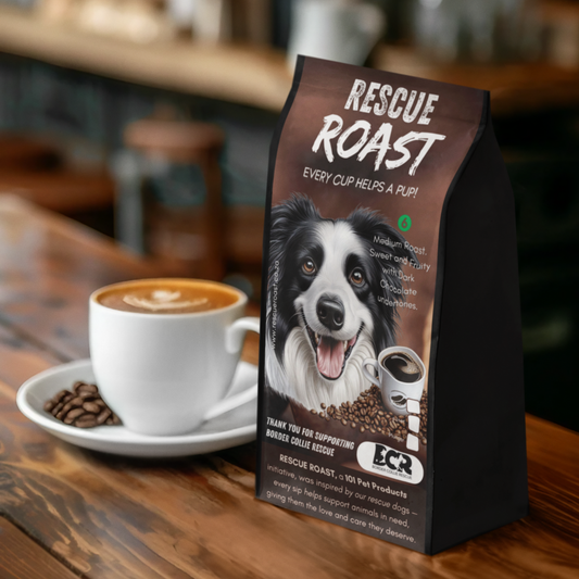 Fast Fetch Roast (Border Collie Rescue) #1