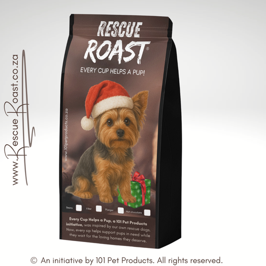 Yorkie - Christmas Edition (B)