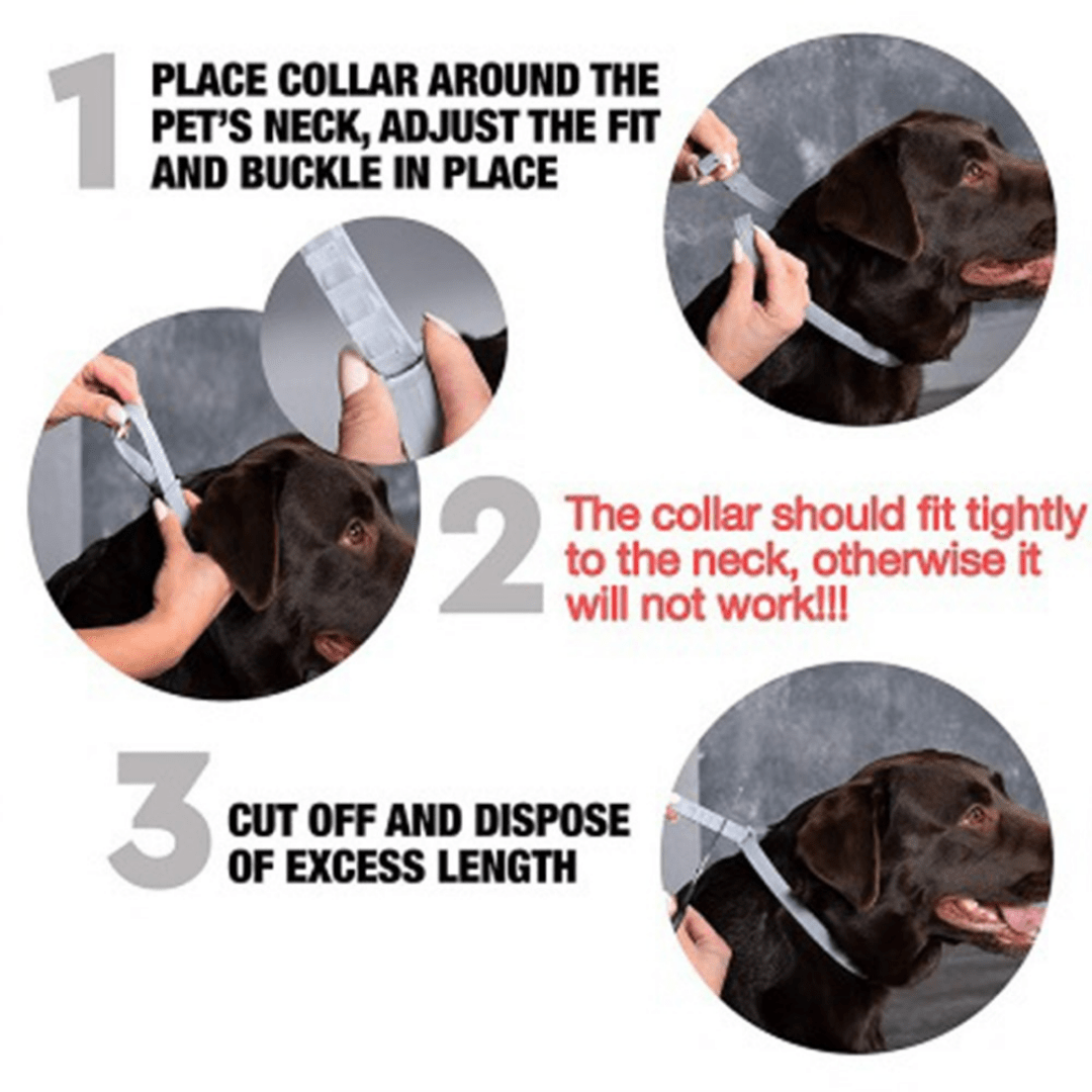 Calming Pheromone Collars for Dogs - 2pack