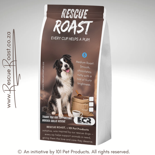 Everyday Hero (Border Collie Rescue) #4