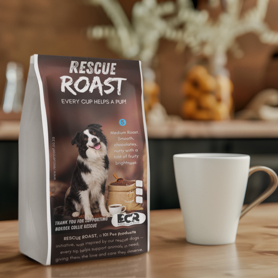 Everyday Hero (Border Collie Rescue) #4