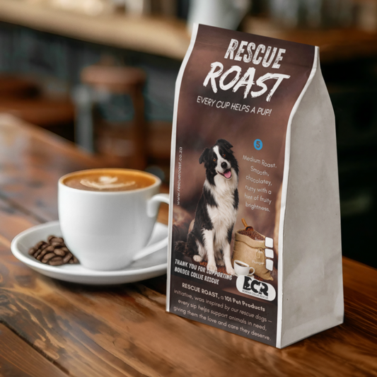 Everyday Hero (Border Collie Rescue) #4